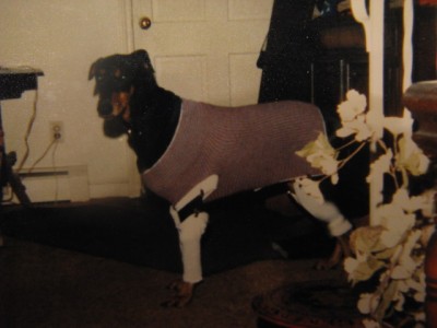 32012KiddoInClothes.jpg
