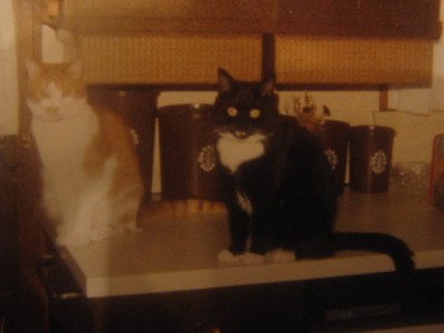 32012TheDynamicDuoPokey&MrBill.jpg