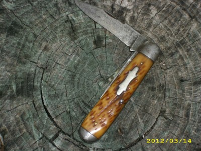 Robeson old bone 002.JPG