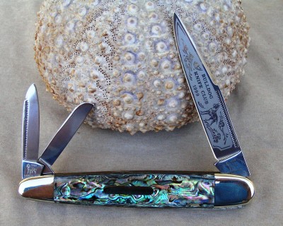 Heart Abalone  Anglo-Saxon  Limted Editon.jpg