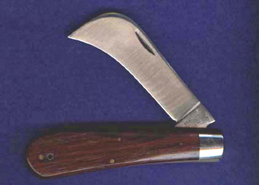 1-211007.jpg