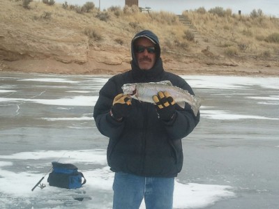 Jerry 3 pound CutBow.jpg