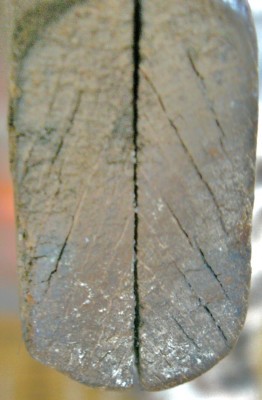 PICT0006.JPG