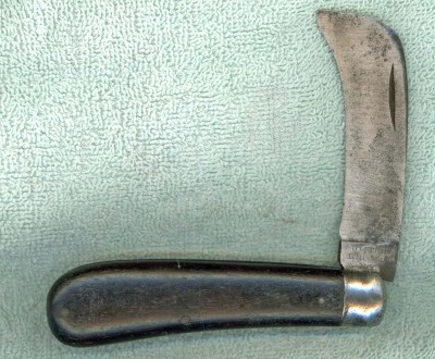 Ulster Hawkbill.jpg