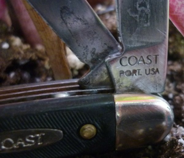 coast_tang_scaled.jpg
