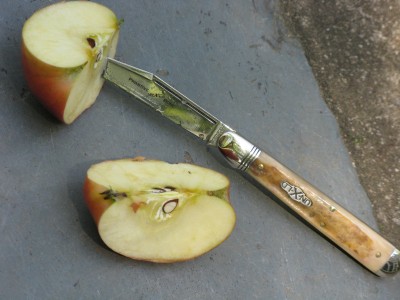 slicing apples.JPG