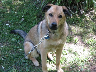 Bella Apr 7a.JPG