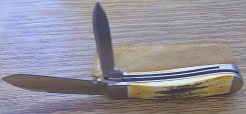Case-Bose Stag #2.jpg