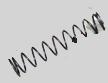 Coil Spring.JPG