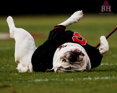 ugafootball25.jpg