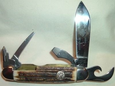 Stag Scout 032.JPG