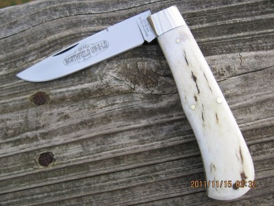 GEC #73 Scout  Axis Stag F.JPG