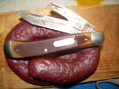 DSCN1484.JPG