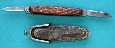 hatchwis2.jpg