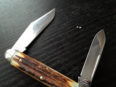 GEC_MOOSE.JPG