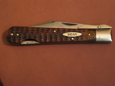 cabar bean 003.jpg