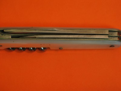 bird 003.jpg