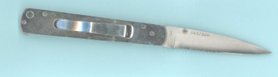 AMK Quicksilver b.jpg