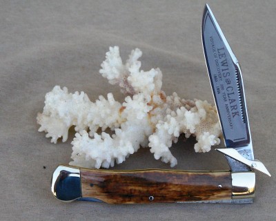 Bark Mammoth Ivory