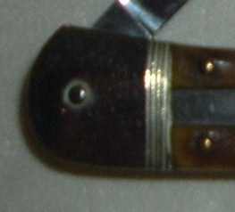 Hubertus Camp Ringed.JPG