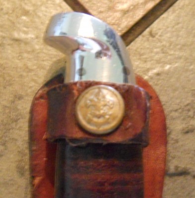 Western Scout 1.JPG
