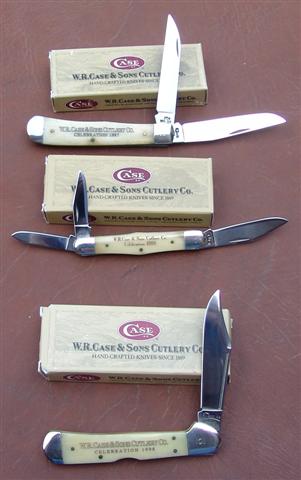 Case Cel. 3 fr (Small).jpg
