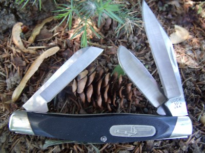 Buck 301.jpg