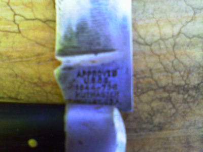 IMAG0231.JPG
