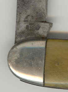 casebradfordleg3.jpg