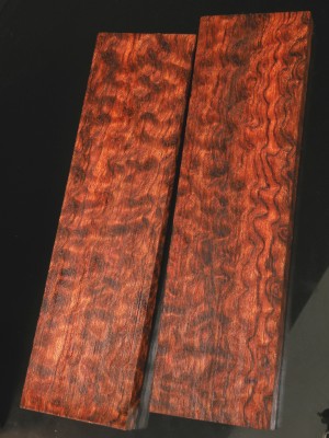 3022.JPG