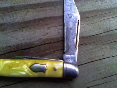 IMAG0202.JPG