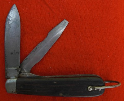 USARMYrobeson2.jpg