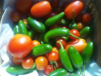 IMG_20120709_172126.jpg
