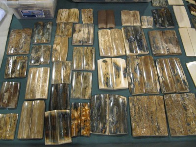 mammoth ivory from Charles Turnage.JPG