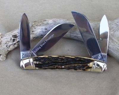 Prototype Stag Large Congress 001.jpg