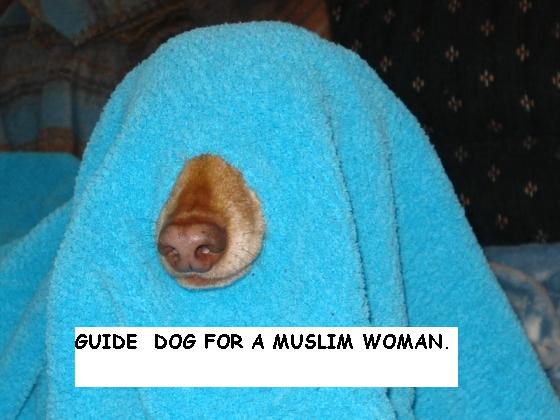 ATT00001.jpg