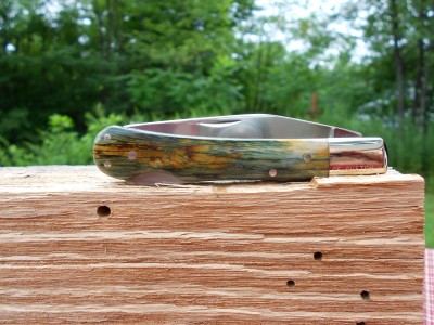 Custom Mastadon Bone.JPG