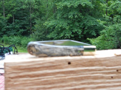 Custom Mastadon Tooth.JPG