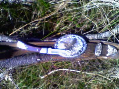 IMAG0006d.JPG