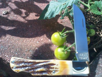 IMG_20120726_101418.jpg