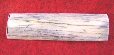 elk leg bone.jpg