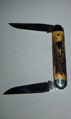 IMAG0170.jpg