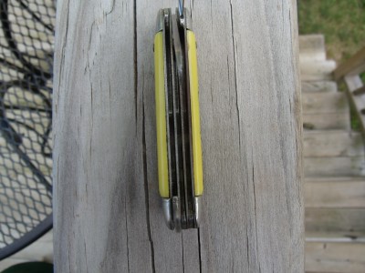 Colonial small yellow stockman 002.jpg