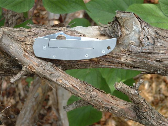Spyderco Walker Frame Lock conversion by STR 019.jpg