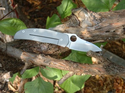 Spyderco Walker Frame Lock conversion by STR 012.jpg