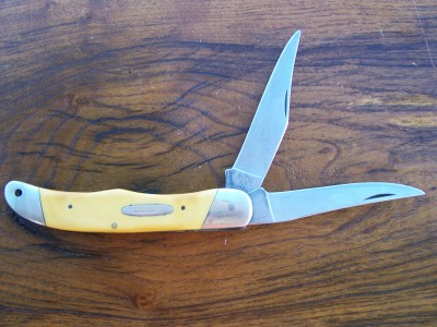 yellowbuck 002.JPG