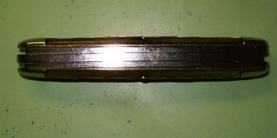 carmillus #1.jpg