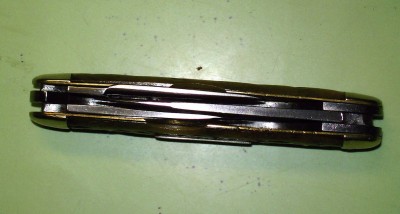 carmillus #2.jpg