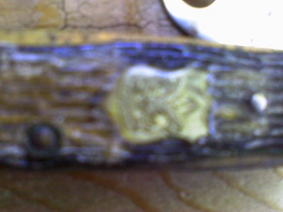 IMAG0005.JPG