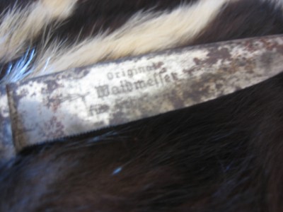 Man, who would let this happen to this knife?